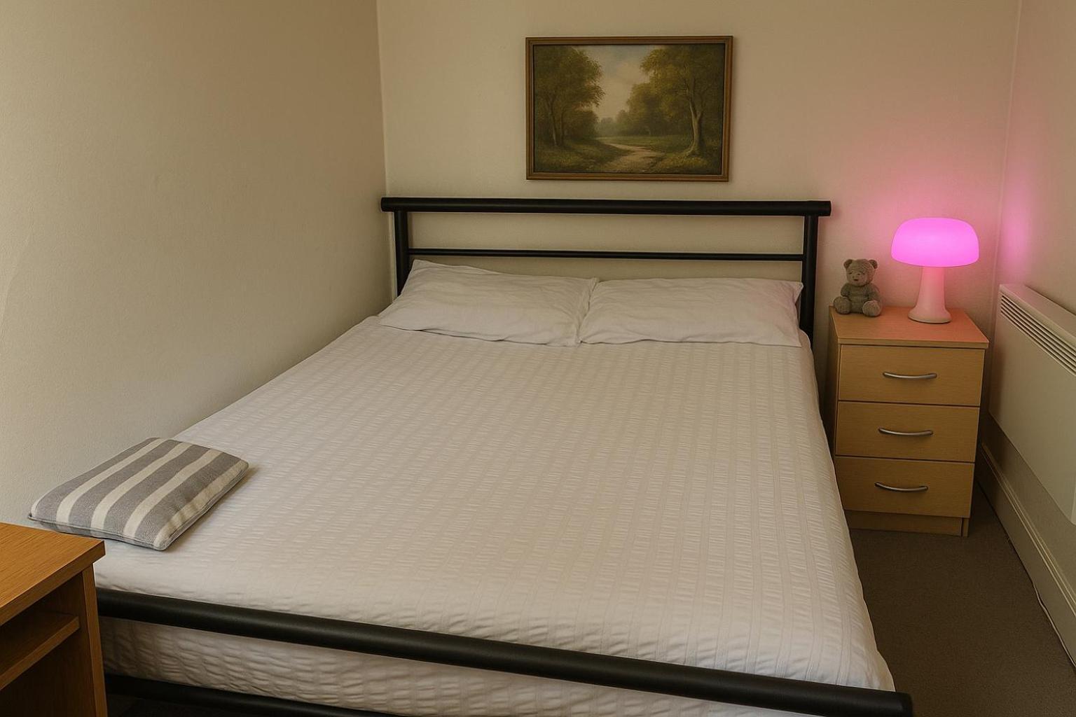 Comfy 2 Bedroom Flat Near Edinburgh City Center المظهر الخارجي الصورة